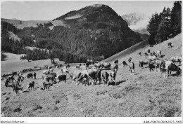 ABMP9-74-0715 - THONES - Troupeaux Dans La Montagne - Vacheresse