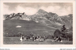 ABMP6-74-0492 - BERNEX - Les Prairies Du Mont -Benant Et La Dent D'Oche  - Sonstige & Ohne Zuordnung