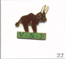 Pin’s Animal - Santé / VSF (Vétérinaire Sans Frontières) - Le Buffle. Non Estampillé. EGF. T1014-22 - Animales