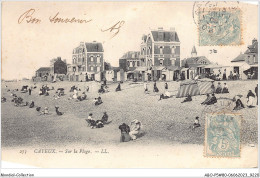 ABOP5-80-0435 - CAYEUX - Sur La Plage  - Cayeux Sur Mer