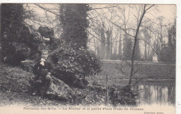 91. FONTENAY LES BRIIS. CPA.  LE ROCHER ET LA PETITE PIECE D'EAU DU CHATEAU.  ANNEE 1907+ TEXTE - Autres & Non Classés