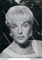 Fo2069 Foto Originale Elsa De Giorgi Attrice Actress Film Star Movie - Other & Unclassified