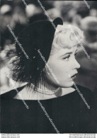 Fo2068 Foto Originale Gloria De Haven Attrice Actress Film Star Movie - Other & Unclassified