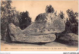 ADMP1-77-0085 - NEMOURS - Rochers Saint-pierre - Propriété Greau - La Selle Arabe  - Nemours
