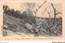 ADMP4-77-0312 - FORET DE FONTAINEBLEAU - Gorges De Franchard - Après L'incendie  - Fontainebleau