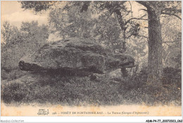 ADMP4-77-0305 - FORET DE FONTAINEBLEAU - La Tortue - Gorges D'apremont  - Fontainebleau
