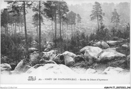 ADMP4-77-0297 - FORET DE FONTAINEBLEAU - Entrée Du Désert D'apremont  - Fontainebleau