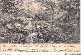 ADMP4-77-0316 - FORET DE FONTAINEBLEAU - La Roche Eponge  - Fontainebleau