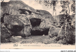 ADMP3-77-0272 - FORET DE FONTAINEBLEAU - La Roche Qui Pleure - Franchard  - Fontainebleau