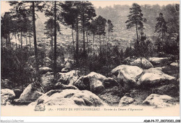 ADMP4-77-0278 - FORET DE FONTAINEBLEAU - Entrée Du Desert D'apremont  - Fontainebleau
