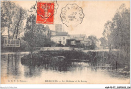 ADRP2-77-0147 - NEMOURS - Le Château Et Le Loing - Nemours