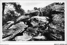 ADRP2-77-0146 - NEMOURS - Les Rochers Beauregard - Nemours