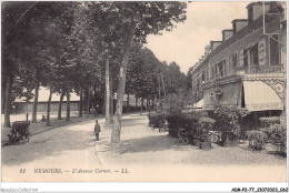 ADRP2-77-0125 - NEMOURS - L'avenue Carnot - Nemours