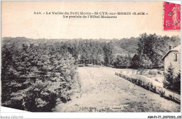 ADRP1-77-0061 - La Vallée Du Pétit MORIN-ST-CYR - La Prairie De L'hôtel Moderne - Provins