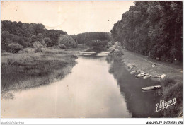 ADRP10-77-0902 - MAROLLES-SUR-SEINE - La Seine à La Mésionne - Andere & Zonder Classificatie