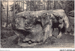 ADMP9-77-0804 - FORET DE FONTAINEBLEAU - L'éléphant - Gorges D'apremont - Fontainebleau