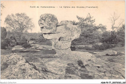 ADMP9-77-0801 - FORET DE FONTAINEBLEAU - Le Sphinx Des Druides - Franchard  - Fontainebleau