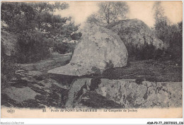 ADMP9-77-0789 - FORET DE FONTAINEBLEAU - La Casquette De Jockey - Fontainebleau