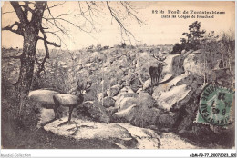 ADMP9-77-0781 - FORET DE FONTAINEBLEAU - Dans Les Gorges De Franchard  - Fontainebleau