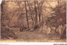 ADMP9-77-0768 - FORET DE FONTAINEBLEAU - La Gorge Aux Loups - Fontainebleau