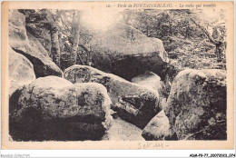 ADMP9-77-0758 - FORET DE FONTAINEBLEAU - La Roche Qui Tremble  - Fontainebleau