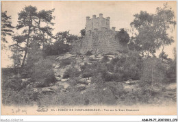 ADMP9-77-0756 - FORET DE FONTAINEBLEAU - Vue Sur La Tour Denecourt  - Fontainebleau