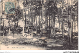 ADMP9-77-0747 - FORET DE FONTAINEBLEAU - Gorges Aux Loups  - Fontainebleau