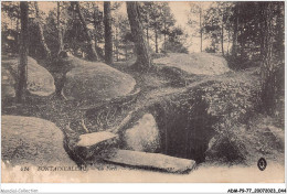 ADMP9-77-0743 - FONTAINEBLEAU - La Foret - Sortie De La Caverne  - Fontainebleau