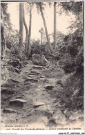 ADMP8-77-0718 - FORET DE FONTAINEBLEAU - Sentier Conduisant Au Calvaire  - Fontainebleau