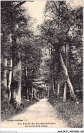 ADMP8-77-0719 - FORET DE FONTAINEBLEAU - La Route De La Tillale  - Fontainebleau