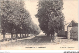 ADRP8-77-0684 - COULOMMIERS - Promenades - Coulommiers
