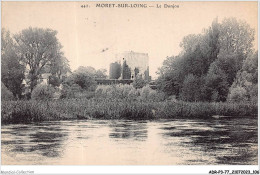 ADRP3-77-0248 - MORET-SUR-LOING - Le Donjon - Moret Sur Loing