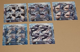 BURUNDI ORQUES ET REQUINS MARINE LIFE 5 MINIATURE SHEETS MNH - Other & Unclassified