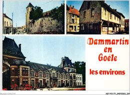 ADTP11-77-0961 - DAMMARTIN-EN-GOELLE - Les Environs - église Du Montgé - Le Halle - Château Des Gueules Cassées  - Autres & Non Classés