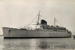 - Paquebots - Ref-729- Paquebot " Antilles " - Le Havre - - Dampfer