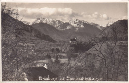 Ansichtskarte  - Grünburg - Andere & Zonder Classificatie