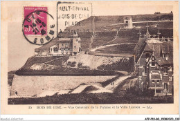 AFPP10-80-1010 - BOIS-DE-CISE - Vue Generale De La Falaise Et La Villa Lumen - Bois-de-Cise