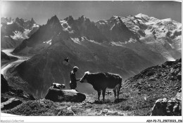 ADYP2-74-0169 - Affection Dans Les Hauts Paturages - Aig De CHAMONIX Et Massif Du Mont-blanc  - Chamonix-Mont-Blanc