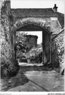 ADTP9-77-0766 - CHEVREUSE - La Vieille Porte Et Les Remparts - Other & Unclassified