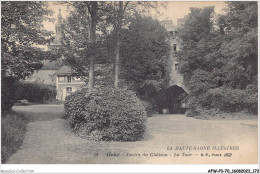 AFWP3-70-0272 - La Haute-saône Illustrée - GRAY - Jardin Du Château - La Tour - Gray