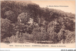 AFWP2-70-0175 - La Haute-saône Pittoresque - Environs De VESOUL - ECHENOZ-la-MELINE - Chalet De Solborde - Vesoul