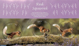 Nevis 2018 Red Squirrel 3v M/s, Mint NH, Nature - Various - Animals (others & Mixed) - Round-shaped Stamps - St.Kitts E Nevis ( 1983-...)