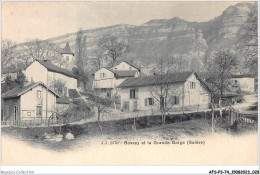 AFSP3-74-0161 - SALEVE - Bossey Et La Grande Gorge  - Sonstige & Ohne Zuordnung