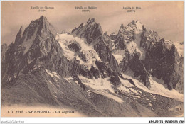 AFSP2-74-0119 - CHAMONIX - Les Aiguilles  - Chamonix-Mont-Blanc