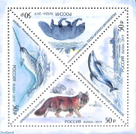 Russia 2019 Animals 4v M/s, Normal Print, Mint NH, Nature - Animals (others & Mixed) - Sea Mammals - Autres & Non Classés