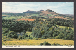 111238/ Eildon Hills - Roxburghshire