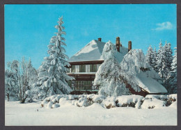 119652/ Schwarzwald Im Winter  - Other & Unclassified