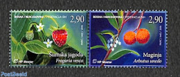 Bosnia Herzegovina - Croatic Adm. 2019 Strawberries 2v [:], Mint NH, Nature - Fruit - Obst & Früchte