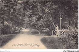 AFWP7-70-0751 - VESOUL - Chemin De Frotey - Entrée Des Promenades - Vesoul