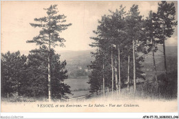 AFWP7-70-0697 - VESOUL Et Ses Environs - Le Sabot - Vue Sur Coulevon - Vesoul